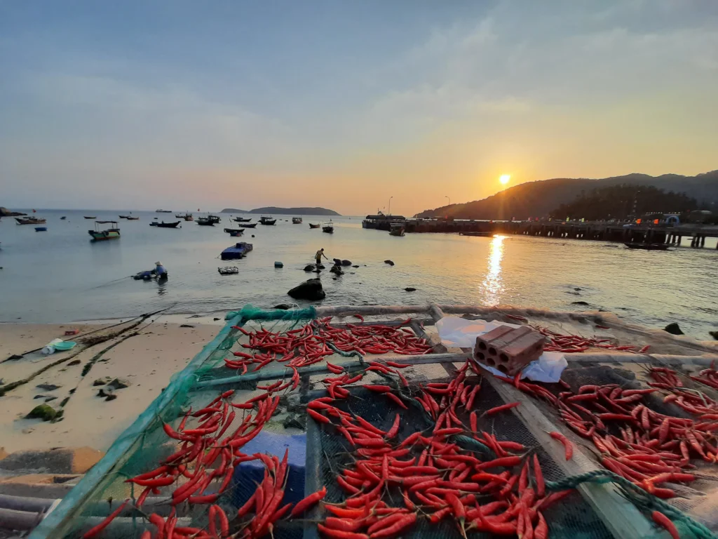Sunset over Cham Islands, Vietnam, demonstrating eco-friendly living and zero plastic waste initiatives.